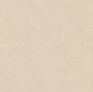 Meet your Posher, Ashlynn